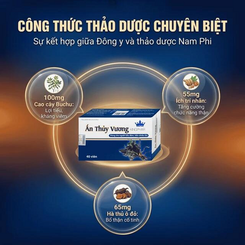 Viên uống giúp bổ thận, giảm tiêu đêm tiểu ngày nhiều lần Ấn Thủy Vương Kingphar (4 vỉ x 10 viên)