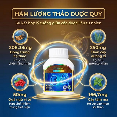Viên uống hỗ trợ bổ thận, tăng cường chức năng thận Vitatree Kidney Tonic (100 viên)
