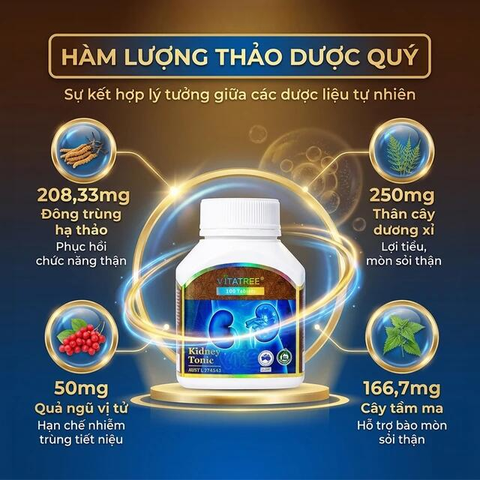 Viên uống giúp lợi tiểu, hỗ trợ bài tiết cặn sỏi giảm sỏi tiết niệu Bài Thạch Kingphar (60 viên)
