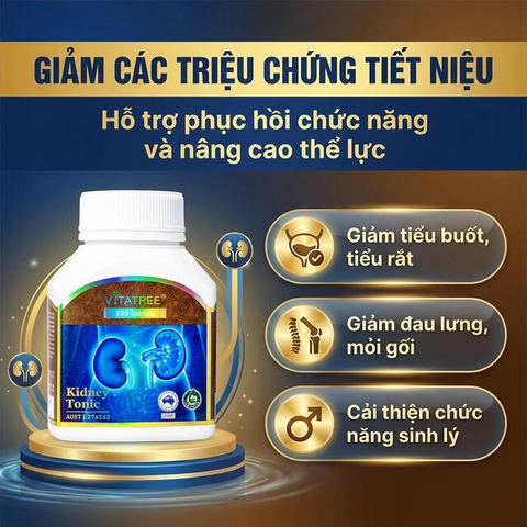 Viên uống giúp lợi tiểu, hỗ trợ bài tiết cặn sỏi giảm sỏi tiết niệu Bài Thạch Kingphar (60 viên)