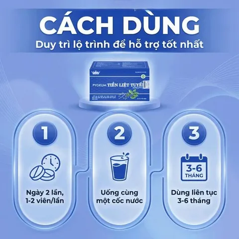 Viên uống hỗ trợ cho người phì đại tiền liệt tuyến Pygeum Tiền Liệt Tuyến Kingphar (4 vỉ x 10 viên)