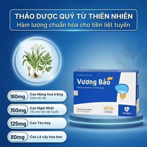 Viên Uống Vương Bảo 20 Viên – Hỗ Trợ Sức Khỏe Tuyến Tiền Liệt, Hỗ Trợ Người Phì Đại Lành Tính Tuyến Tiền Liệt