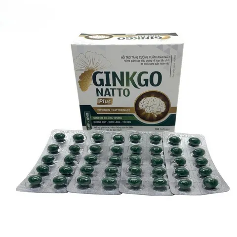 Ginkgo Natto Plus Vinaphar
