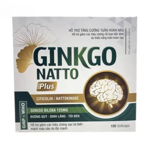 Ginkgo Natto Plus Vinaphar