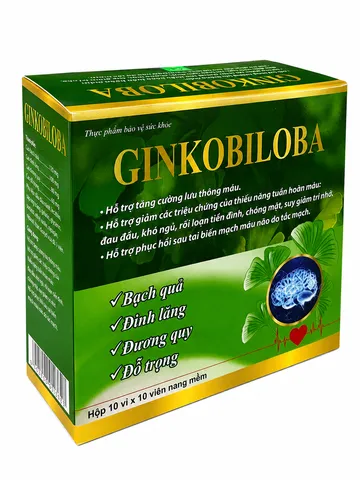 GINKOBILOBA Hỗ Trợ Lưu Thông Tuần Hoàn Não - Hộp 100 viên