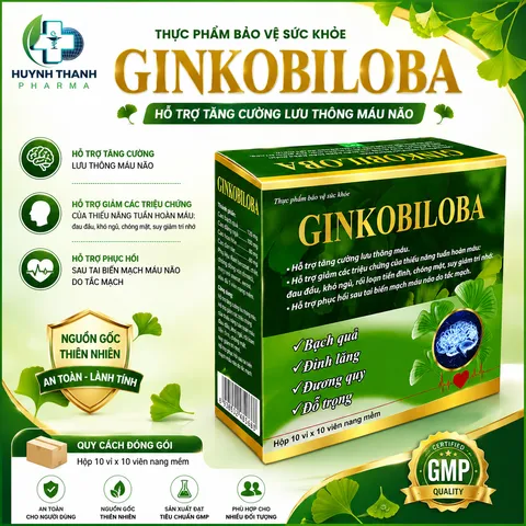 GINKOBILOBA Hỗ Trợ Lưu Thông Tuần Hoàn Não - Hộp 100 viên