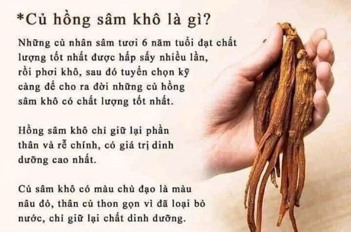 sâm khô hộp thiếc nguyên củ 6 năm tuổi ,Giúp cải thiện giấc ngũ ,Bồi bổ thể lực, tăng cường sức khỏe