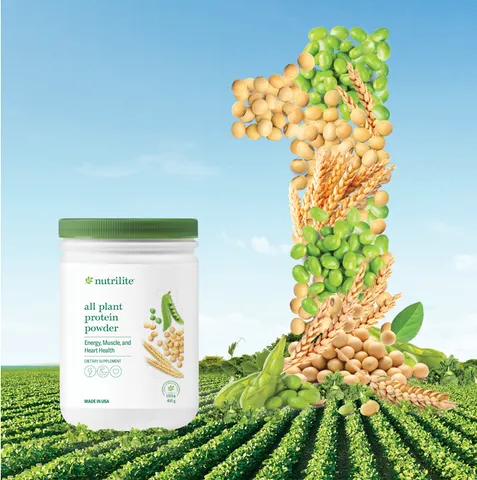 TPBVSK Nutrilite™ All Plant Protein Powder 798916