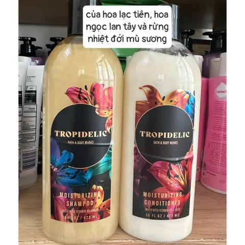 Bộ Dầu gội và dầu xả dưỡng ẩm  của Bath & Body Works 473ml * 2 chai đủ mùi Mỹ