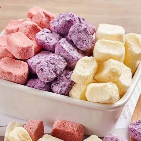 Sữa chua sấy thăng hoa Giảm Cân Đẹp Da Detox Cơ thể