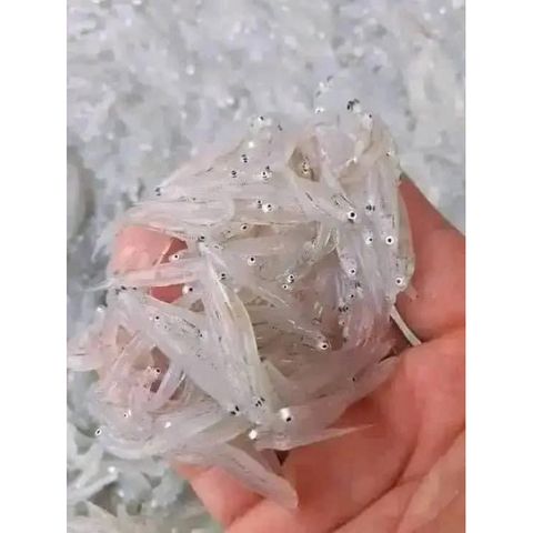 KHÔNG CẦN BẢO QUẢN LẠNH Cá mờm cơm ( sữa) loại 1 chuẩn Quảng Bình, 500gm