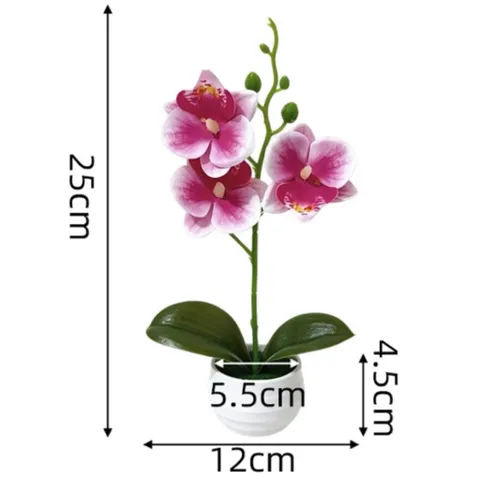 Chậu hoa lan giả deco không gian sống bằng nhựa kích thước khoảng 25*12cm