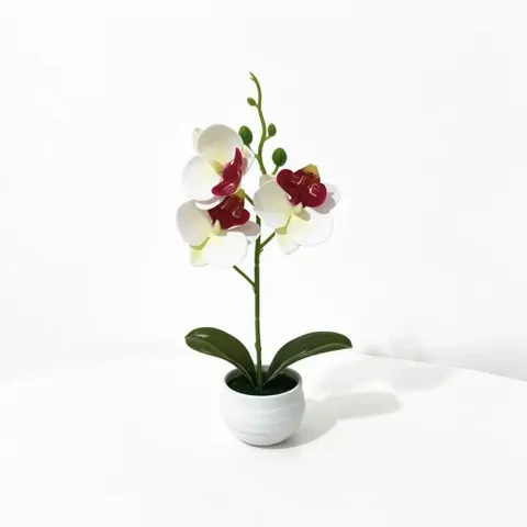Chậu hoa lan giả deco không gian sống bằng nhựa kích thước khoảng 25*12cm