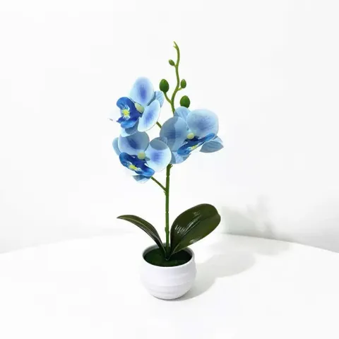 Chậu hoa lan giả deco không gian sống bằng nhựa kích thước khoảng 25*12cm