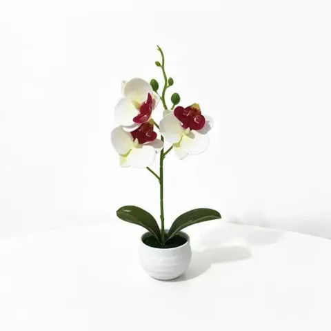 Chậu hoa lan giả deco không gian sống bằng nhựa kích thước khoảng 25*12cm