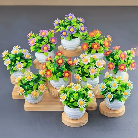 Chậu hoa cúc nhiều màu bằng nhựa trang trí phòng kích thước 8*8cm