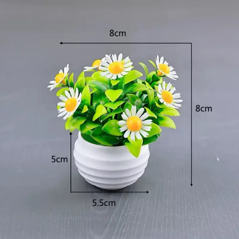 Chậu hoa cúc nhiều màu bằng nhựa trang trí phòng kích thước 8*8cm