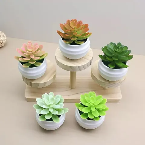 Chậu sen đá giả mini trang trí bằng nhựa kích thước 7*7.5cm