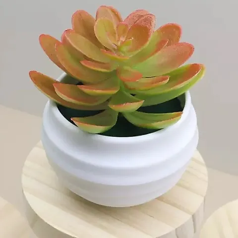 Chậu sen đá giả mini trang trí bằng nhựa kích thước 7*7.5cm