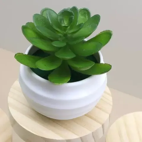 Chậu sen đá giả mini trang trí bằng nhựa kích thước 7*7.5cm