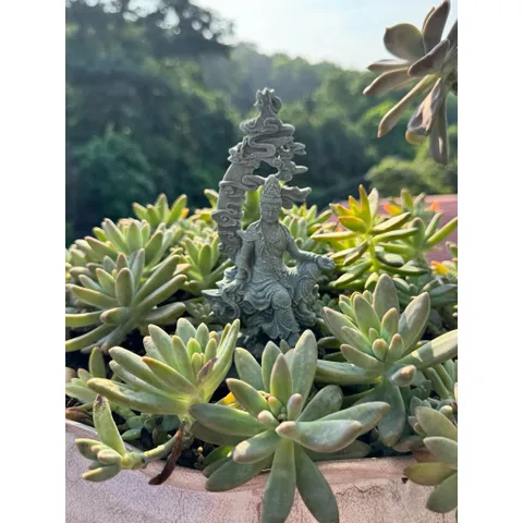 Tượng Thuỷ Nguyệt Quan Âm đá sa thạch kích thước 17,5*8,2 cm - Deco bàn trà,bể cá,chậu cây,terrrium…