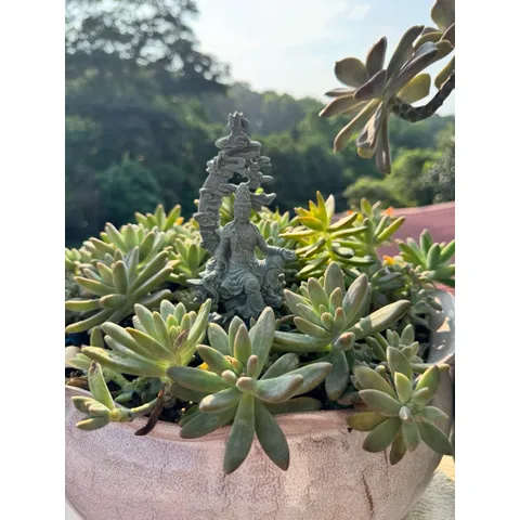 Tượng Thuỷ Nguyệt Quan Âm đá sa thạch kích thước 17,5*8,2 cm - Deco bàn trà,bể cá,chậu cây,terrrium…