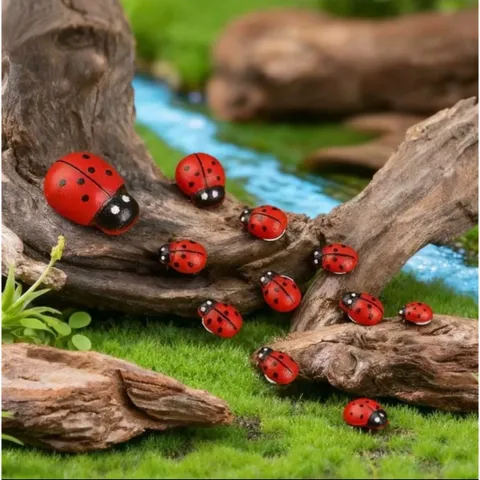 combo 5 con bọ rùa màu đỏ nhỏ trang trí tiểu cảnh,terrarium