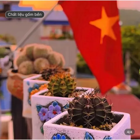 Chậu gốm vuông hoa văn nổi trồng sen đá ,xương rồng, kích thước 6.8*6.8 cm