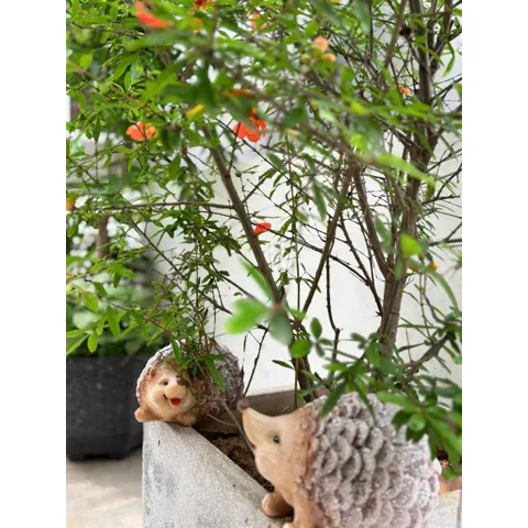 MÔ HÌNH NHÍM TRANG TRÍ SÂN VƯỜN BẰNG NHỰA – SIZE LỚN 18CM 🦔