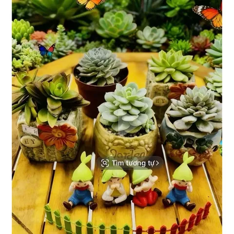 Chậu gốm sứ cao cấp trồng sen đá, xương rồng siêu đẹp kích thước 6*8 cm (bạn chọn mẫu,shop sẽ giao màu mẫu ngẫu nhiên)