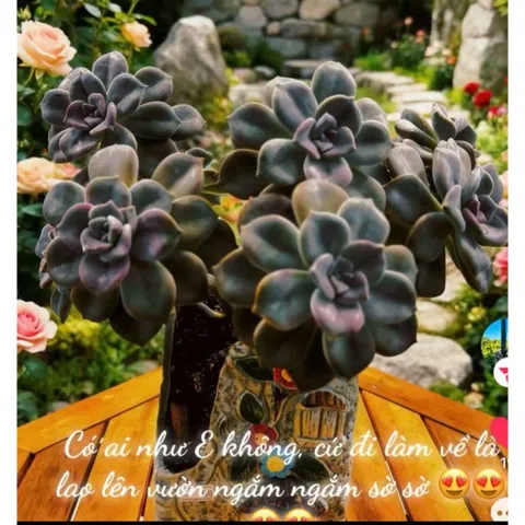 Chậu gốm trồng cây hoạ tiết hoa nổi xẻ chất lượng cao, kích thước 10*12*16 cm