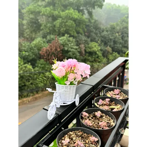 Xe đạp chở hoa siêu đẹp kích thước 18*12*21 cm trang trí,deco