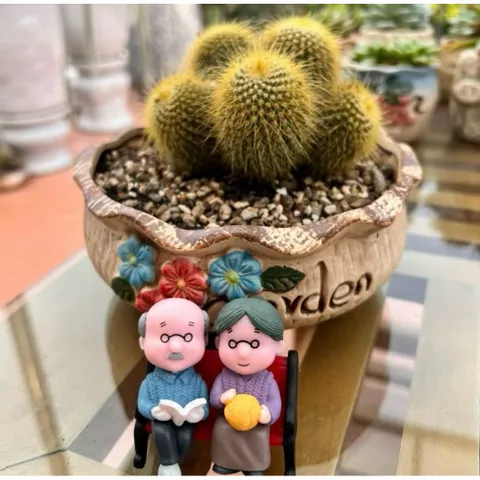 Chậu Cây Xương Rồng Bóng Vàng bụi– Chậu Gốm Decor Bàn Làm Việc, Bàn Học