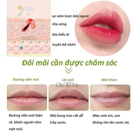 Son Dưỡng Môi Bioaqua Lip Balm Chăm Sóc Phục Hồi Môi, Dưỡng Ẩm Chống Nứt Nẻ Mô Hàng chauanr spai