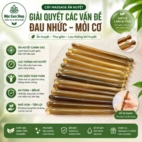 Cây gạch bạch huyết điển chẩn/massage, day ấn huyệt bằng sừng- MC1