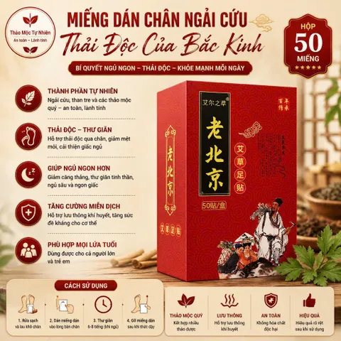 Hộp 50 miếng dán ngải cứu thảo dược, thải độc cơ thể thư giãn ngủ sâu giấc