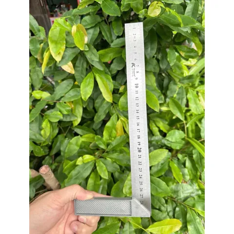 Thước Vuông Góc Inox 45 Độ Đa Năng – Thước Ê Ke Cơ Khí Đo Góc Chính Xác, Chống Gỉ Sét