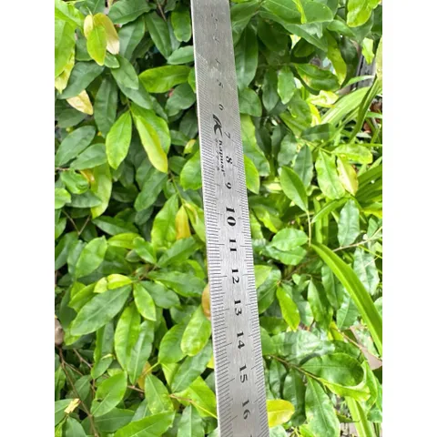 Thước Vuông Góc Inox 45 Độ Đa Năng – Thước Ê Ke Cơ Khí Đo Góc Chính Xác, Chống Gỉ Sét