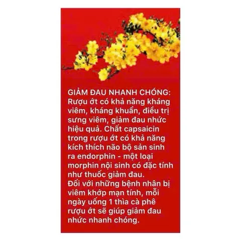 rượu ớt ngăn ngừa đột quỵ, máu đông chai 250ml