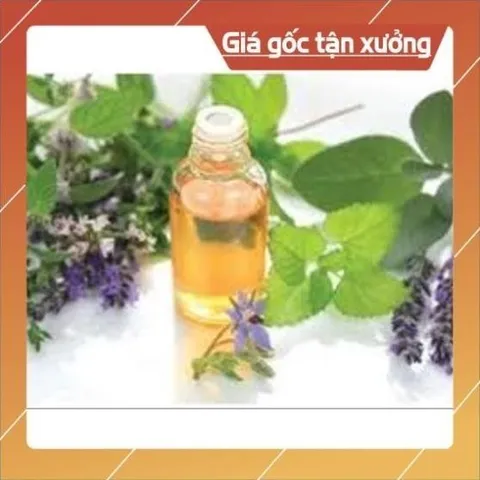 Tinh chất chiết xuất từ trái cây, hương liệu - Freeship - Tinh chất nhập khẩu Ấn Độ (Dùng được cho thực phẩm, đồ uống)