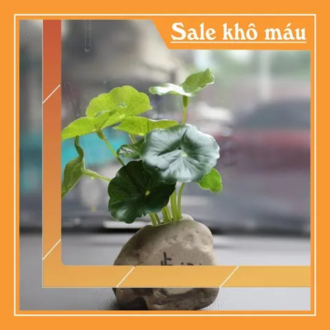 Bộ 04 chú tiểu áo lam ngồi lá sen kèm chậu cây trang trí