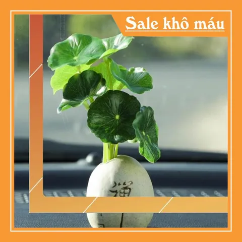 Bộ 04 chú tiểu áo lam ngồi lá sen kèm chậu cây trang trí