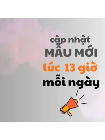 339B_set tiểu thư nhiều mẫu.