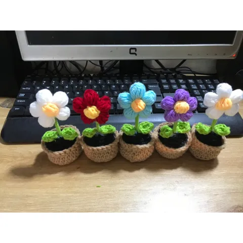 Chậu hoa len 5 cánh mini để trang trí bàn làm việc