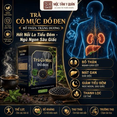 combo2 hộp trà cỏ mực đỗ đen 801621