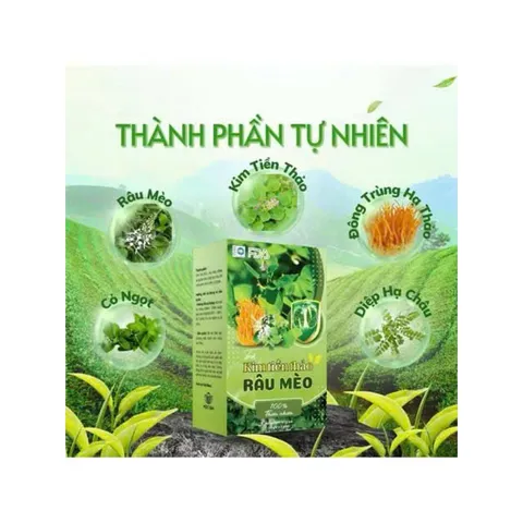 combo 3 hộp trà kim tiền thảo râu mèo 801634