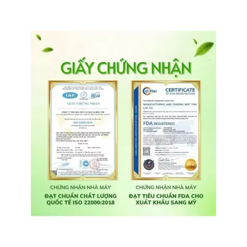 combo 3 hộp trà kim tiền thảo râu mèo 801634