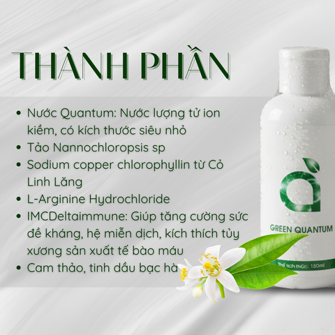 Green Quantum nước uống cô đặc diệp lục 150ml hỗ trợ thanh lọc cơ thể tăng đề kháng giảm mệt mỏi