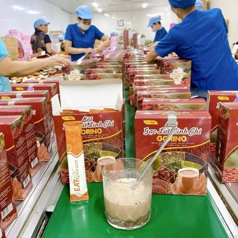 combo 4 hộp trà gạo lứt nhà mộc tâm