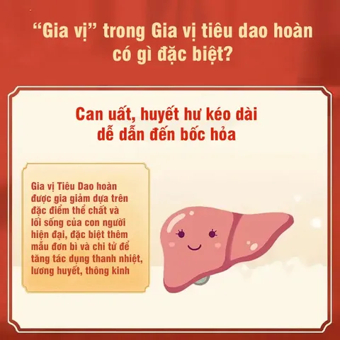 Gia Vị Tiêu Dao Hoàn, hộp 10 gói, hỗ trợ người can tỳ bất hòa, ăn uống kém, hay cáu gắt, kinh nguyệt không đều